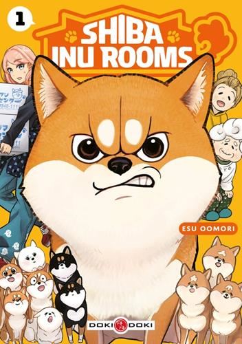 Shiba inu rooms - 1
