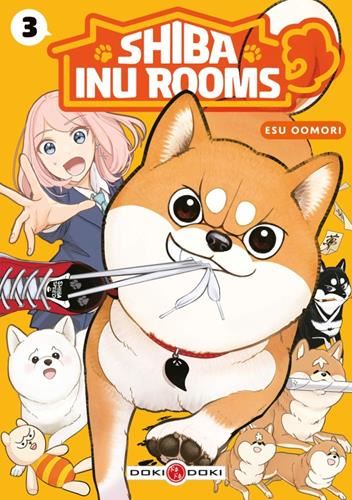 Shiba inu rooms - 3